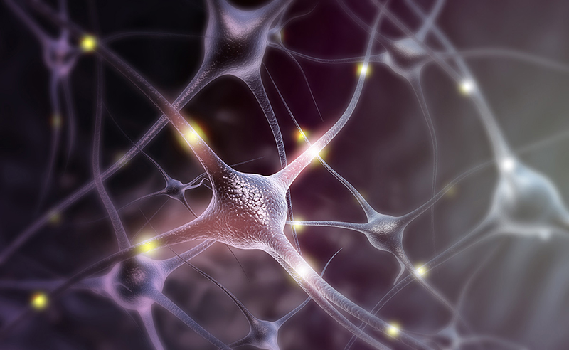 Representación artística de las neuronas.