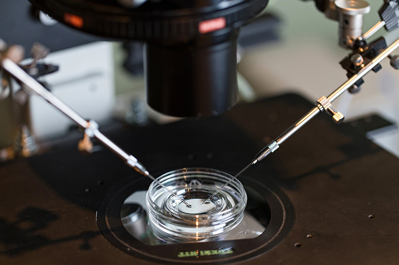Instrumentos sobre una placa de vidrio para el procedimiento de fertilización in vitro.