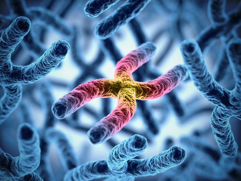 Representación artística de cromosomas en forma de X, que son azules. El cromosoma central tiene un color diferente, con un centro amarillo que cambia a rosa, púrpura y azul a medida que avanza hacia los extremos del cromosoma.