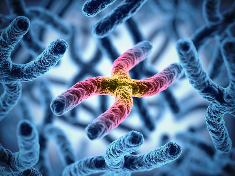 Ilustración 3D de cromosomas.