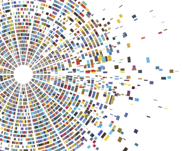 Un círculo concéntrico formado con segmentos coloridos de resultados de secuenciación de ADN. A lo largo del lado derecho, los segmentos de ADN están dispersos desde el centro del círculo. El fondo de la imagen y la diana son blancos.