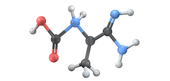 Modelo estructural de la molécula de creatina.
