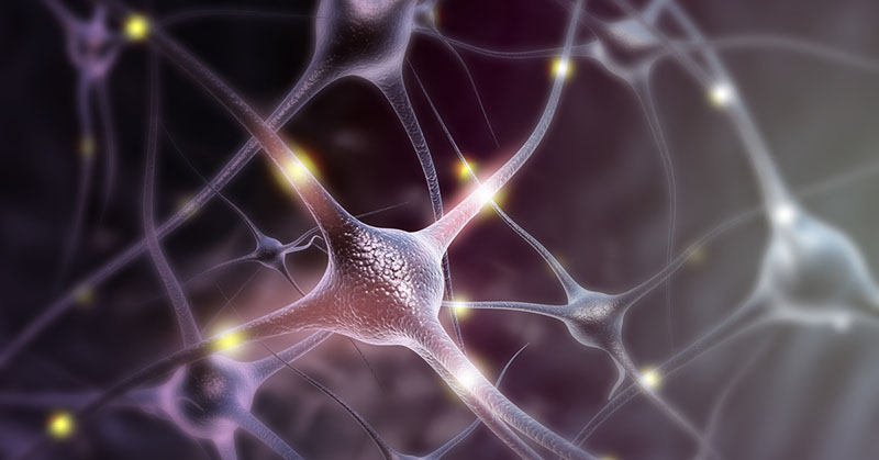 Ilustración en la que se muestra cómo las neuronas se envían señales entre sí.