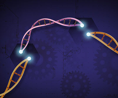Una hebra de ADN cortada de color naranja, con las zonas de los recortes resaltadas con círculos blancos sobre un fondo púrpura oscuro con íconos de engranajes de máquinas. Una hebra corta de ADN de color rosa flota sobre la secuencia de ADN que falta.