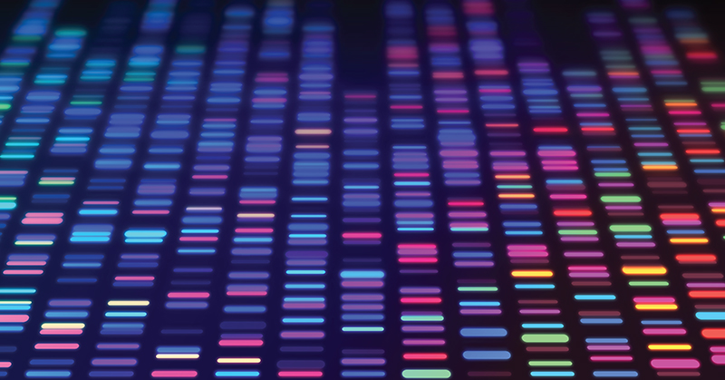 Bloques multicolores que representan varios segmentos de ADN.