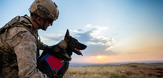 Un militar con Un perro de servicio公司。