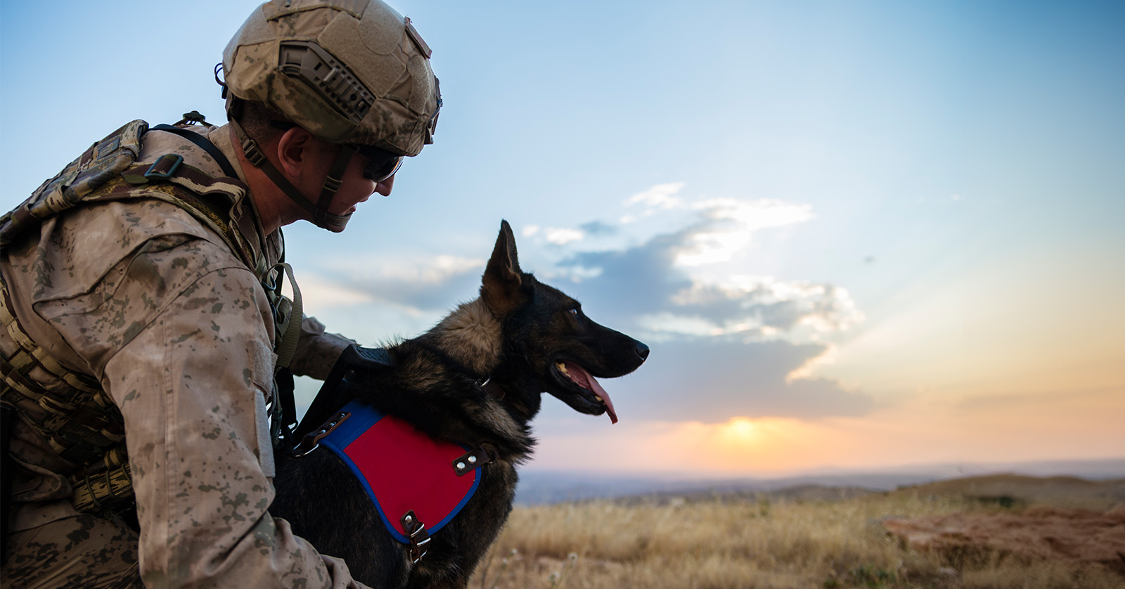 Un militar con un perro de servicio.