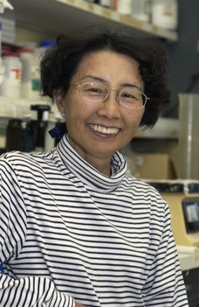 Fotografía de una joven Dra. Ozato sonriendo en su laboratorio.