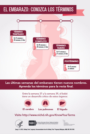 el póster "El embarazo: Conozca los términos" 